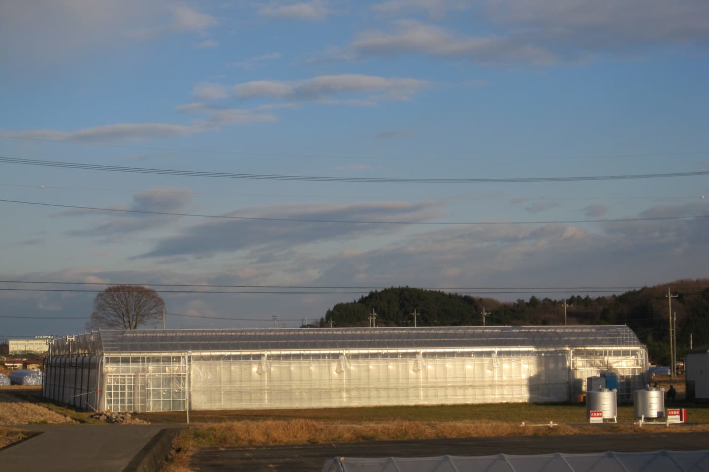 ハウス圃場