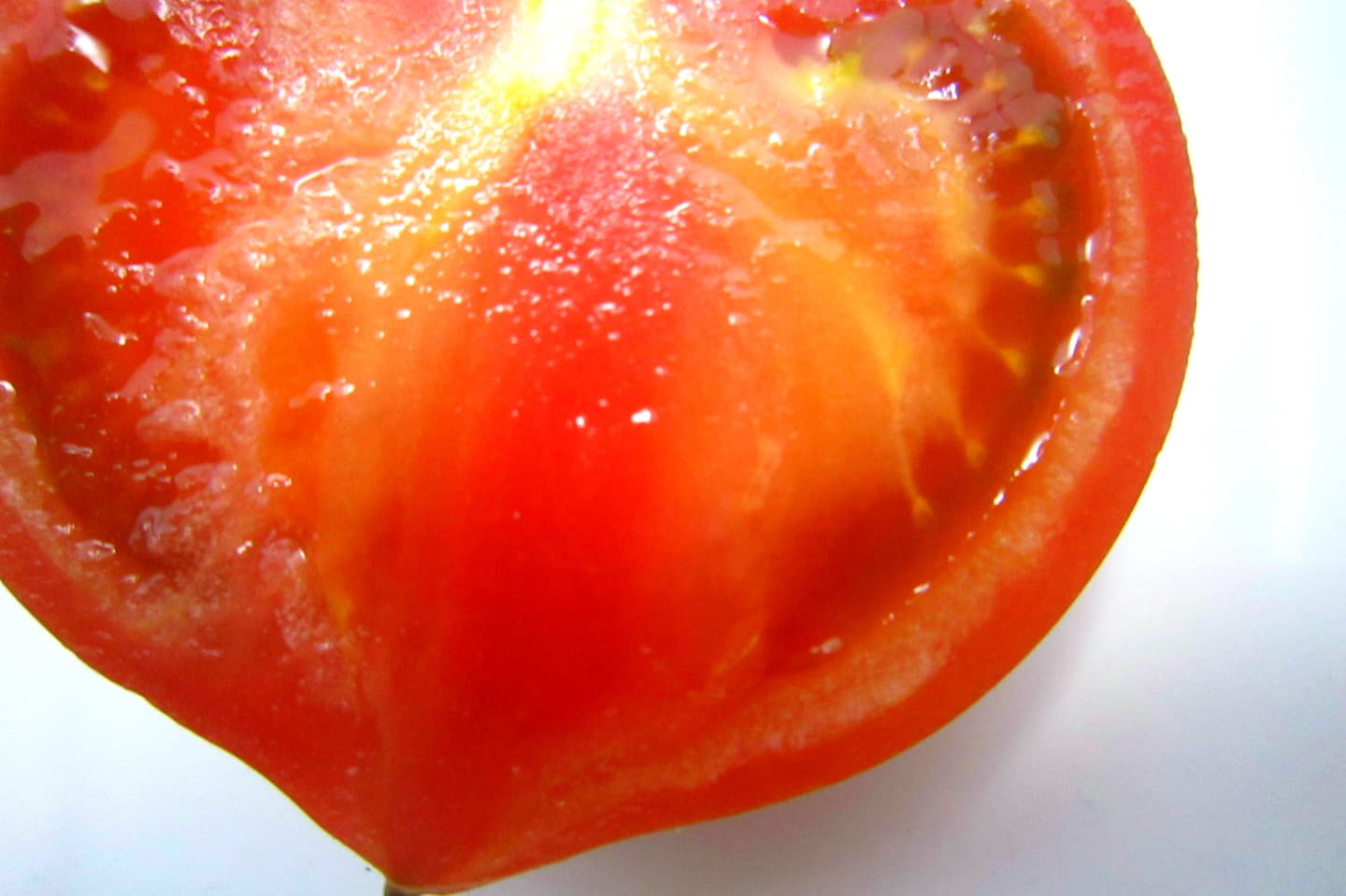 トマト断面図